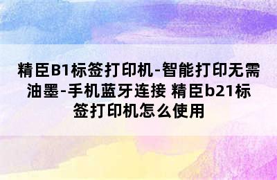 精臣B1标签打印机-智能打印无需油墨-手机蓝牙连接 精臣b21标签打印机怎么使用